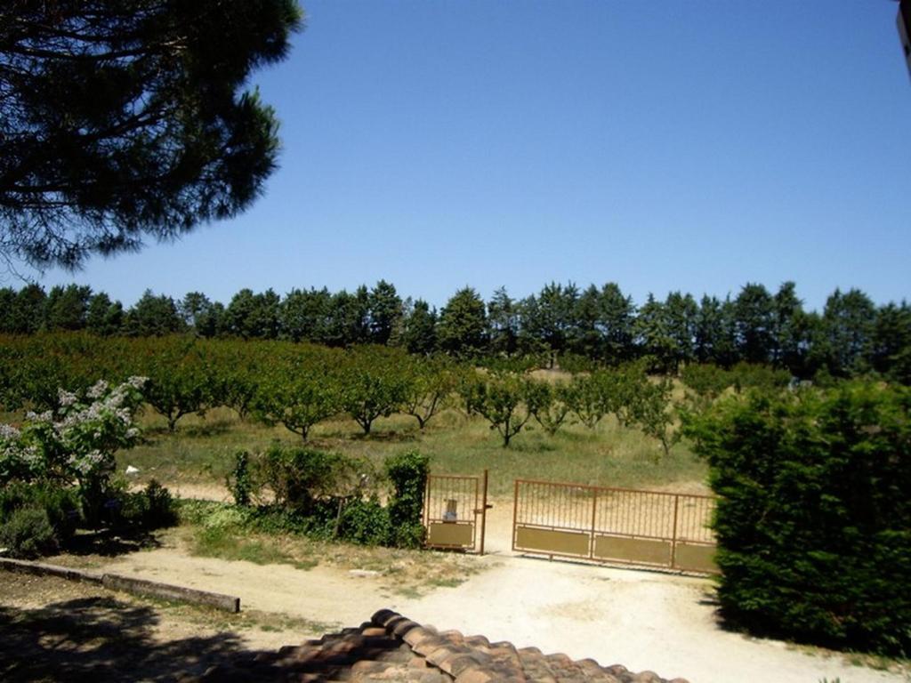 Bellegarde  Le Mas Du Ruisseau מראה חיצוני תמונה